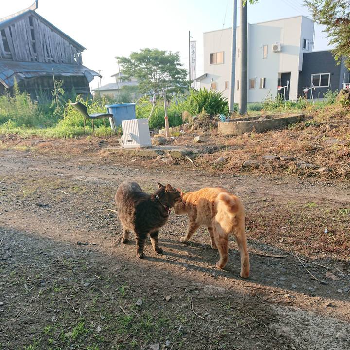 Ba3c6267 62a2 411f a595 1c52a9fb9fc6 1659131824549