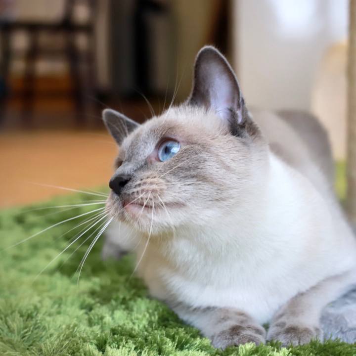 Ba3c63ec 0257 48d0 a8cf 99c58c0d7e7e 1600497832340