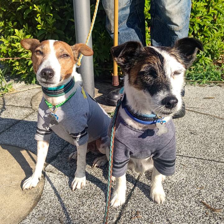 Ba3c69c8 3be0 45f3 bc0c 272b543aedd6 1718748723218