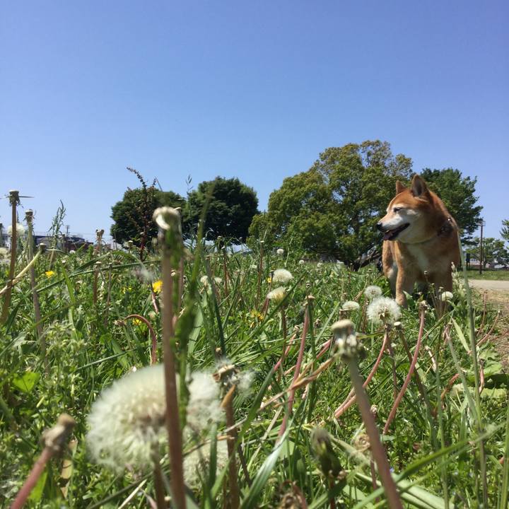 Ba3c9a72 9d25 4277 ab9d 18e184bdd731 1619410606815