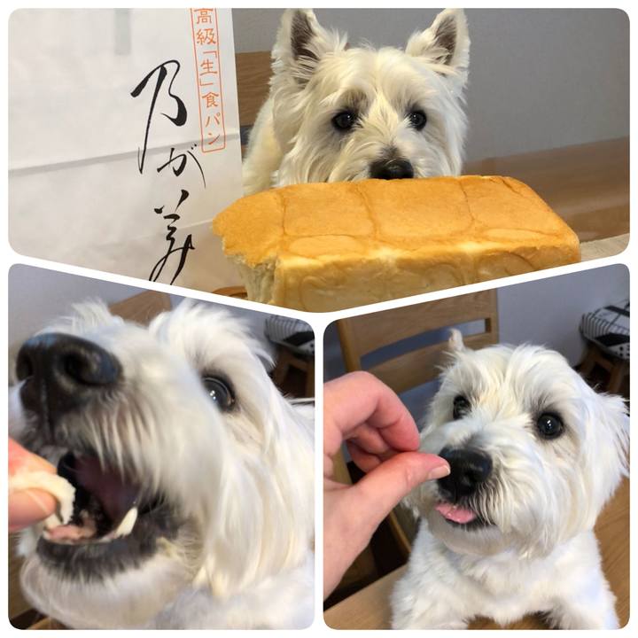 Ba3ca365 2abd 4313 9e67 45ac66532d7c 1523537543304