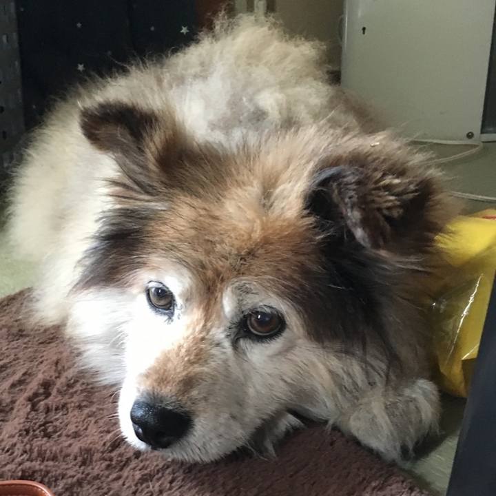 Ba3cad2a f50f 46f7 bf5a e97c31530094 1592853130572