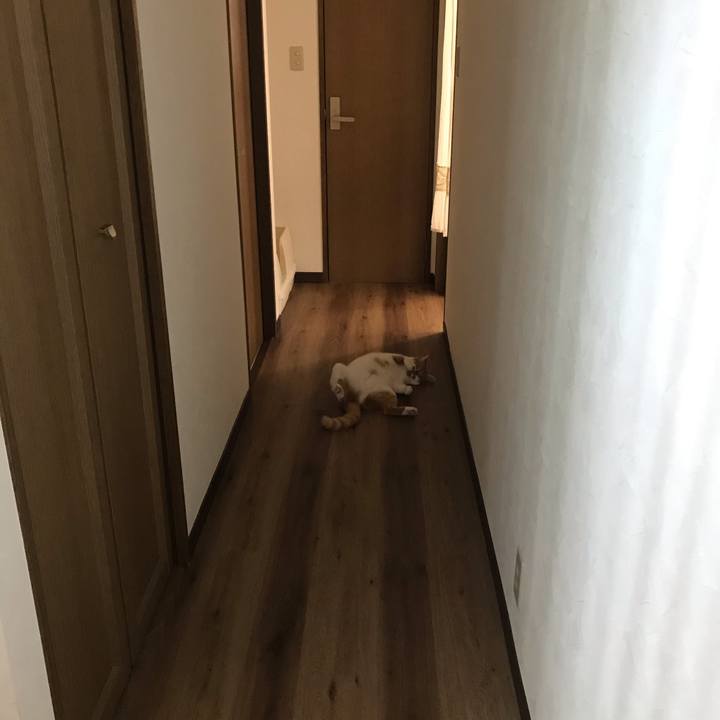 Ba3cb359 2dc5 4e04 b4f2 6d9b2a47cae9 1621939161287