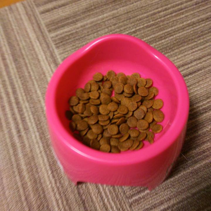 Ba3cc372 58a4 4923 81a9 127b192b45c8 1522837791542