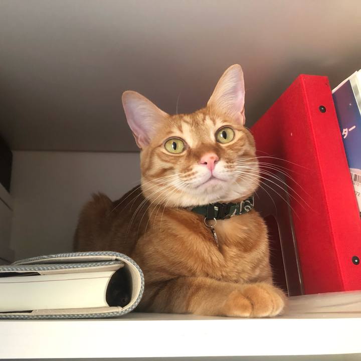 Ba3cfb3f 4b15 4ca5 a569 c029d0233897 1639204889280