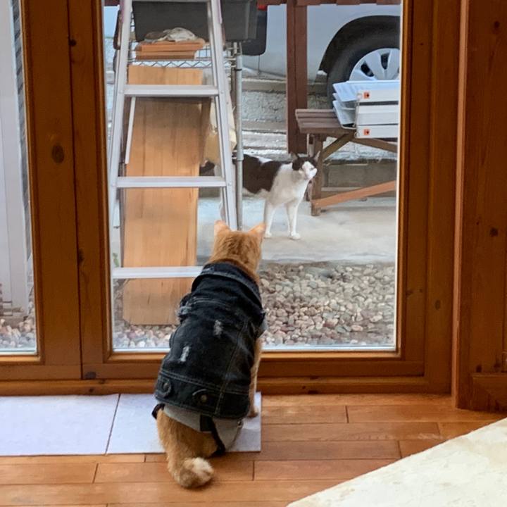 Ba3d04ca 3ae9 4c5c b903 44d7649524b7 1661830568016