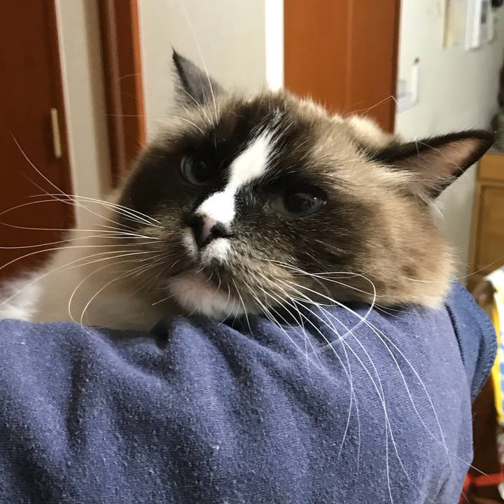 Ba3d36f1 144c 4ab5 ae94 201a5566597e 1512484659786