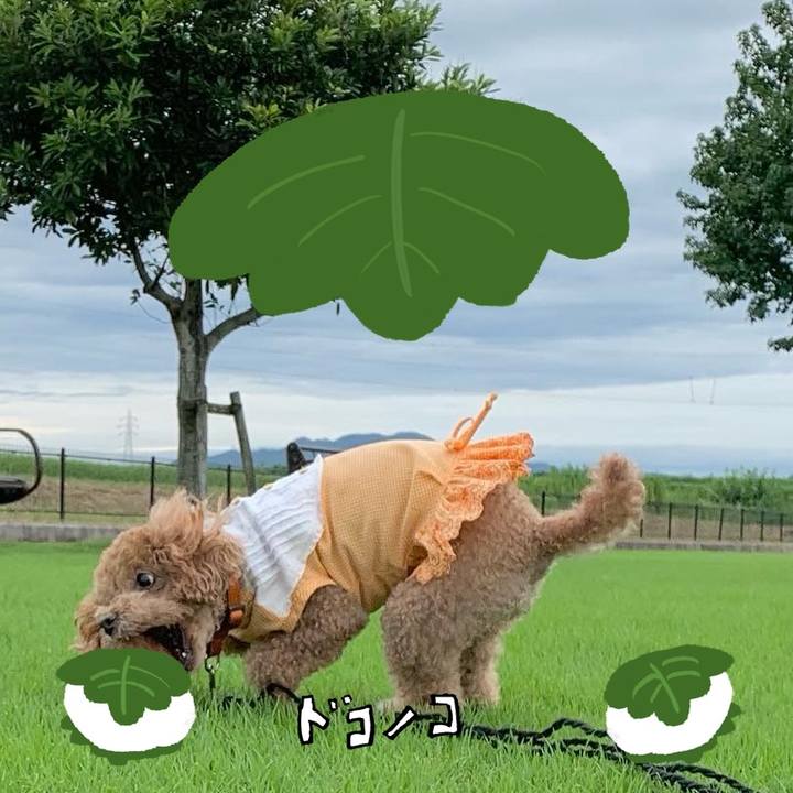 Ba3d3cc8 5853 4a6a b558 5c0355d91741 1749280487728