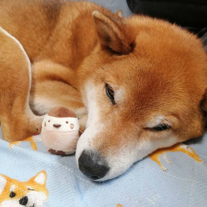 Ba3d57c0 28a5 412b aa5b 8906a0875e26 1650261646773