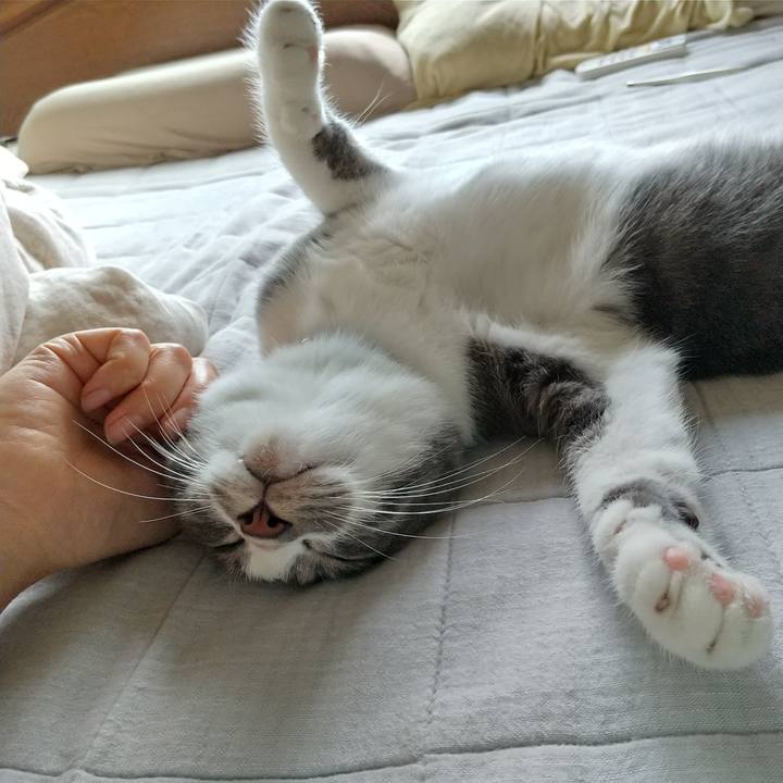 Ba3d5f7d 2350 46f0 8ad1 a5dc73d4c795 1597617100632