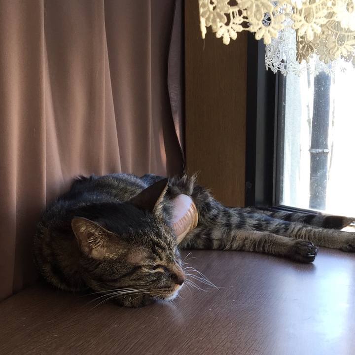 Ba3d6aba e415 4645 925e 09e3e25c76d5 1534229846668