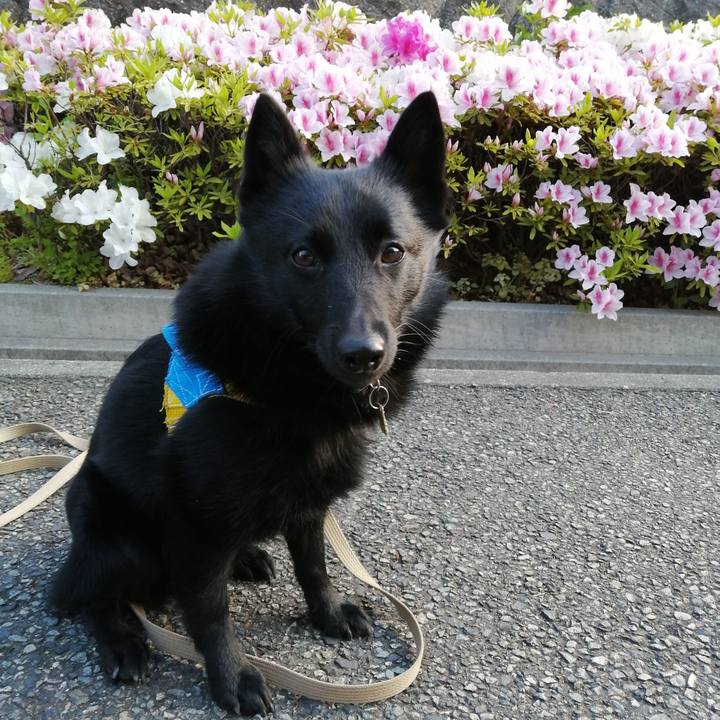 Ba3d8b03 bb9c 4821 a6d6 a9307e9a4118 1588021533893