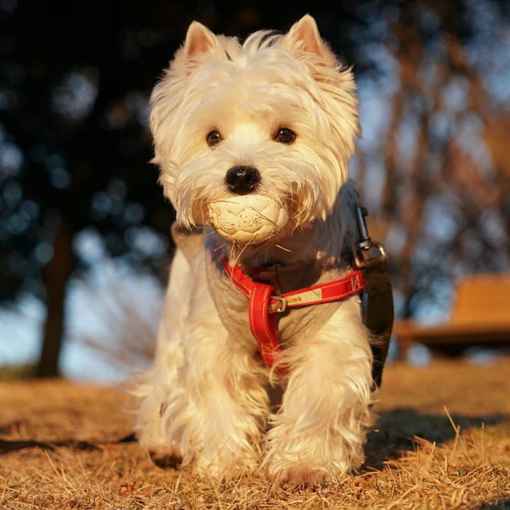 Ba3daceb 153c 4039 b9b1 306905e5441a 1514373764722