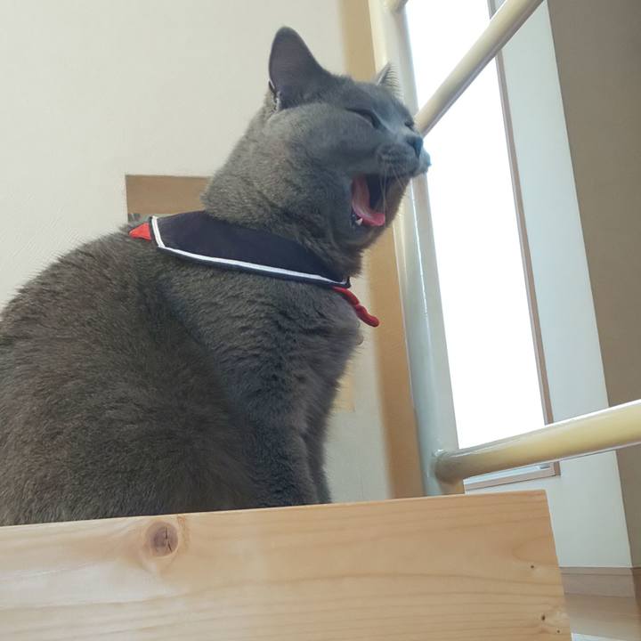 Ba3dca5e e258 4228 8476 1d16a87725ee 1543473012203