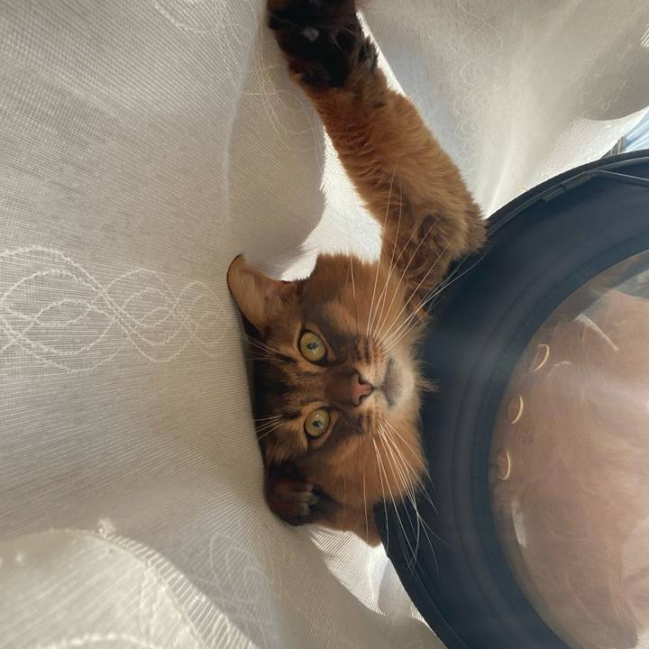 Ba3e14cd 398b 4e1d 8342 a1dde247e9d7 1703557144920