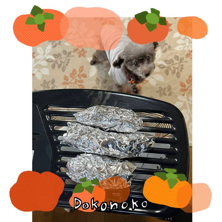 Ba3e1bb4 e297 49a2 8009 5ab922c3cc80 1761635881741