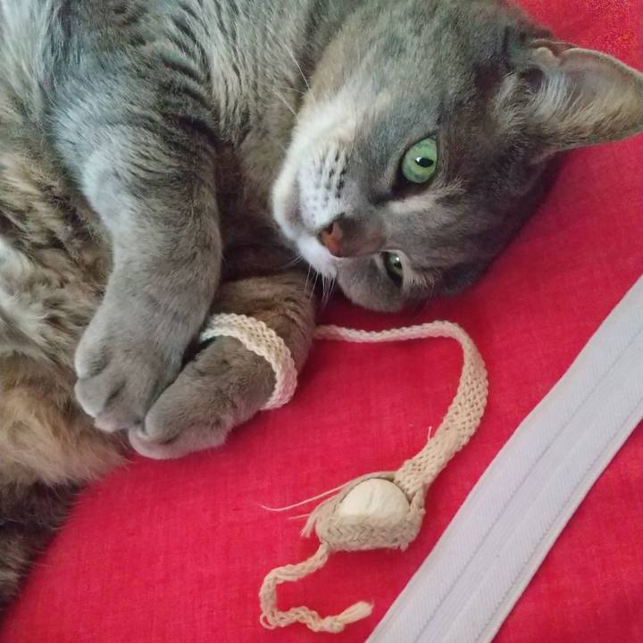 Ba3e201e 6064 42fa a6db 6e51d5e40325 1647237876789