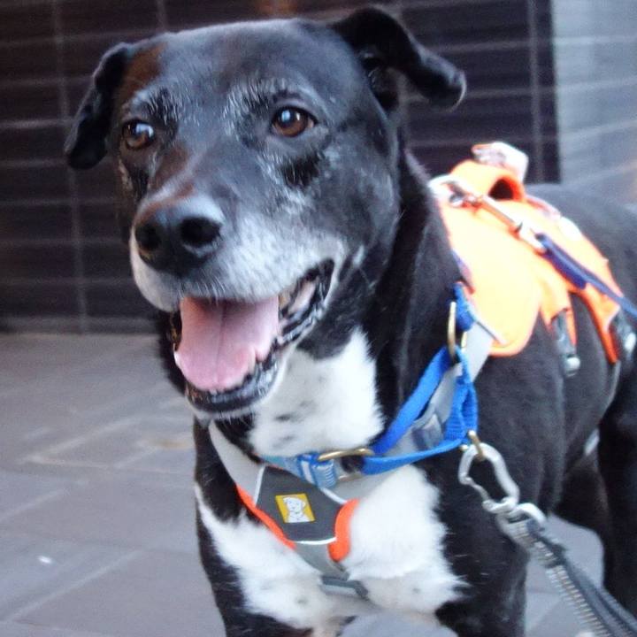 Ba3e336e 2720 4404 9feb 780eb184c175 1749985840125