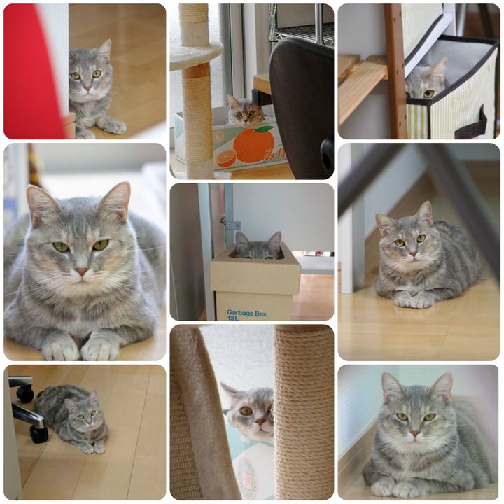 Ba3e3f37 0fe1 47e7 84d6 32ff4b6c6185 1530851146415