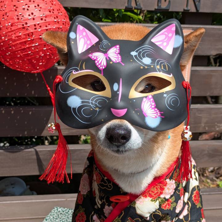 Ba3e6ccf 4999 46ed b1ef 94fe4d72146c 1748766228520