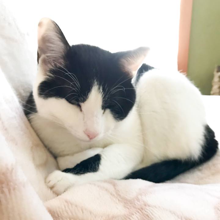 Ba3e95a1 6dd1 45a3 8654 0848102be757 1518101518928