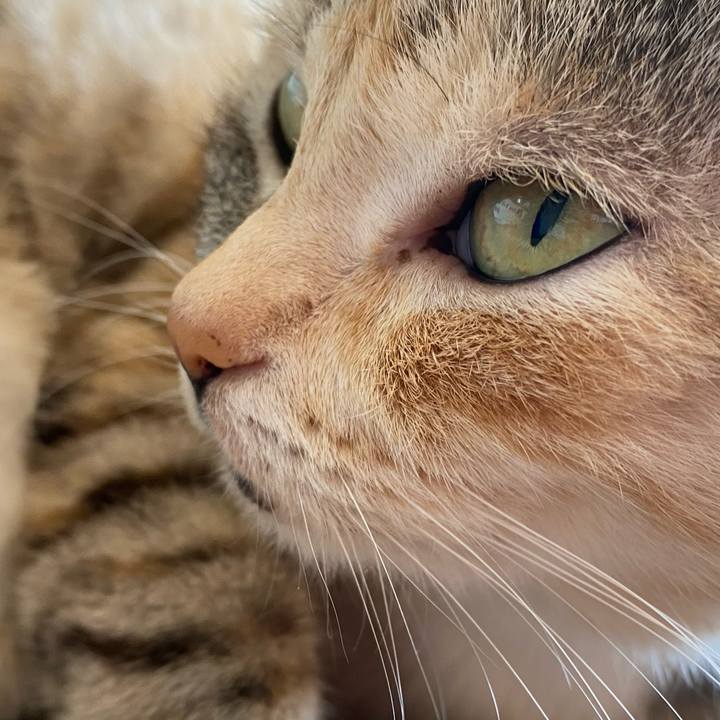 Ba3ea89e 4ec0 4f61 8fdb 76e3596150ce 1613010558688