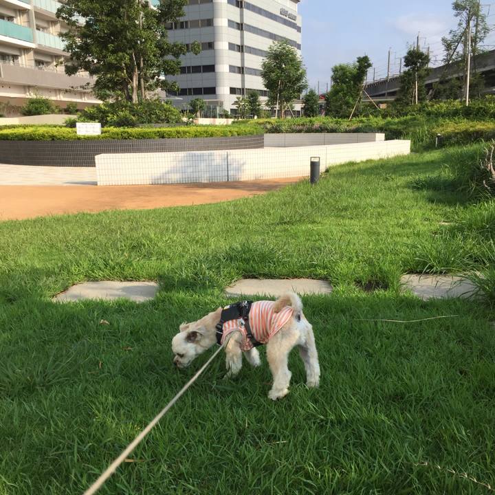 Ba3eba10 06d5 4c5f bc4f 59badd9c9491 1564877995223