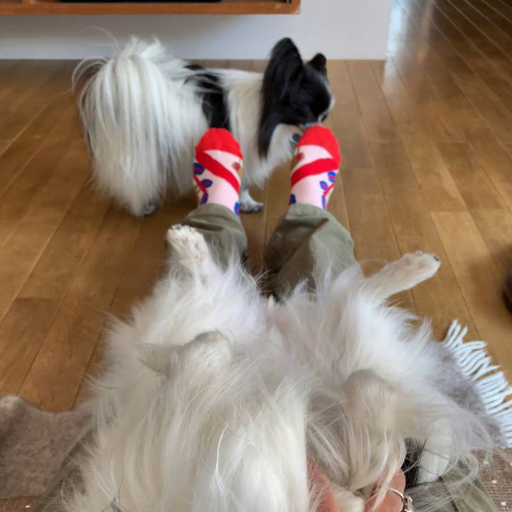 Ba3ed3a3 e288 48b3 a3e6 db9b7fa258c2 1557626296187