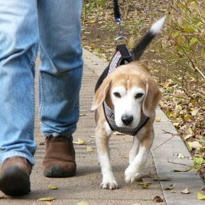 Ba3f23c2 afb1 4158 a121 8ebaf19637be 1657843778291