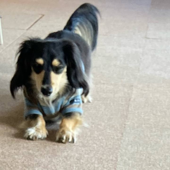 Ba3f2655 61d6 4657 84c4 0ffb71061894 1742369019020