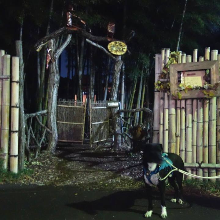 Ba3f3679 2471 4d68 9bde e36c76658480 1636802204612