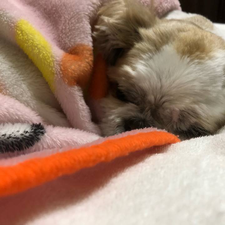 Ba3f81e3 6bc6 4b59 b7ed 21895e691174 1608155495323