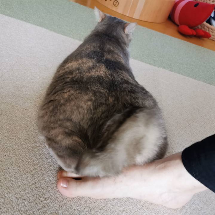 Ba3f91e0 8155 47fc b4dd 01134f88bfca 1651972492454