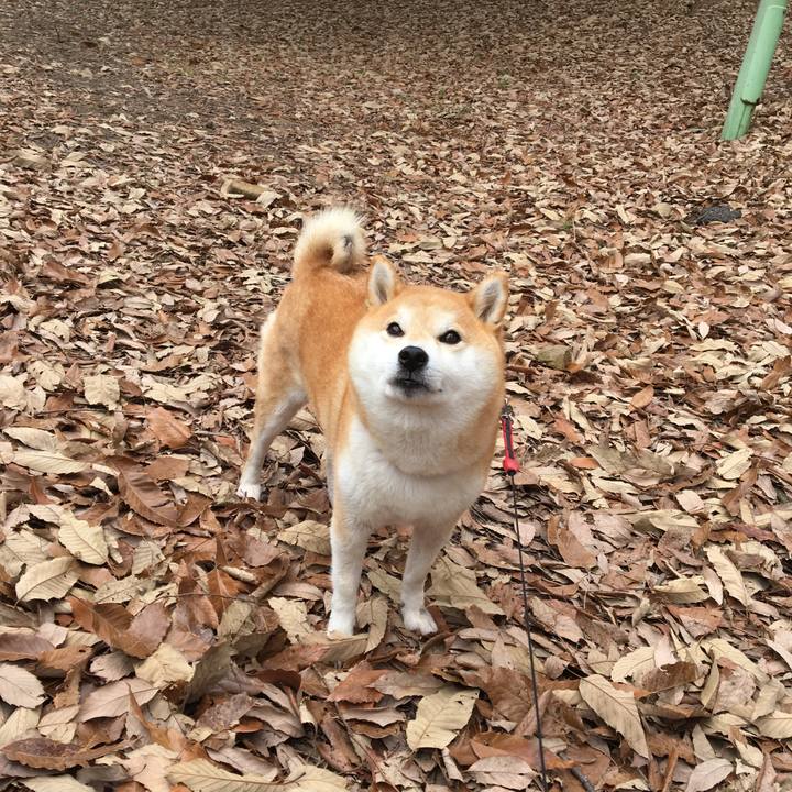 Ba3f9303 7fc5 4c6d 9b21 d51f8246e92e 1549725064408