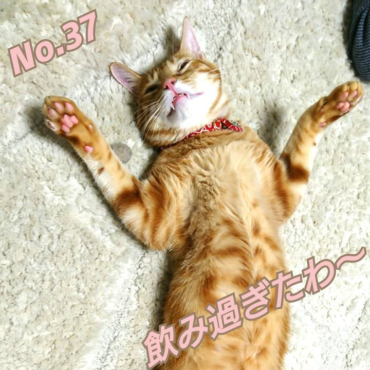 Ba3faf22 fbfe 4d09 9626 0455779d1dce 1522504184561