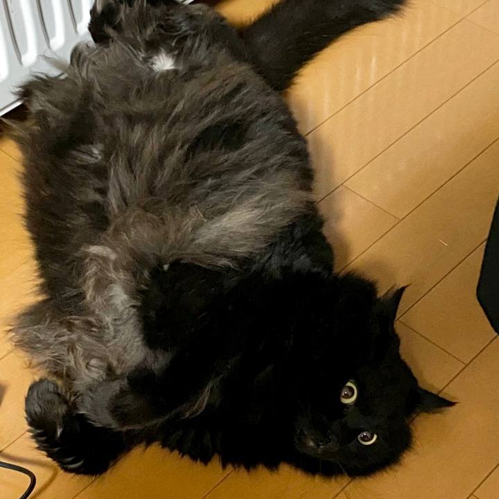 Ba3fce0e 1bc7 4b23 af7c 125bc676dbab 1609942773484