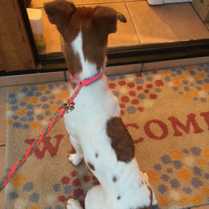 Ba40262e 6a86 4fea 94ed b684be2d970a 1524391942104