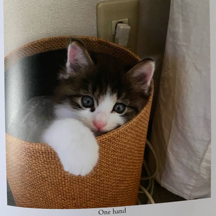 Ba403f00 6526 4684 9a4c 224793d2609c 1664145276510