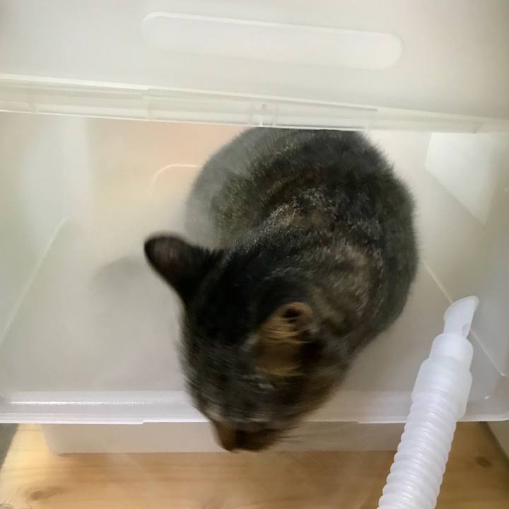 Ba405178 5be7 4a82 8bb2 87ab5e31d54f 1602506784927