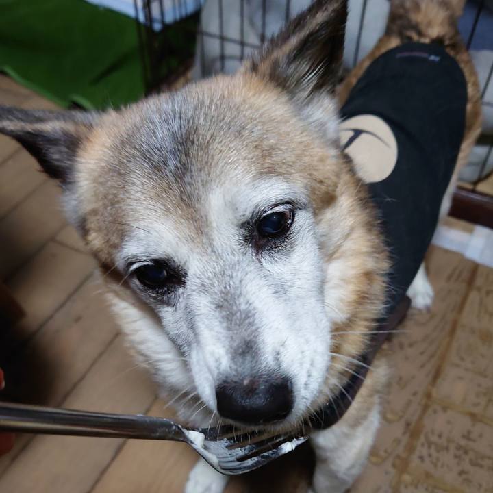 Ba407691 32f6 4f0d a6bf c7bf0d46126b 1731409990185