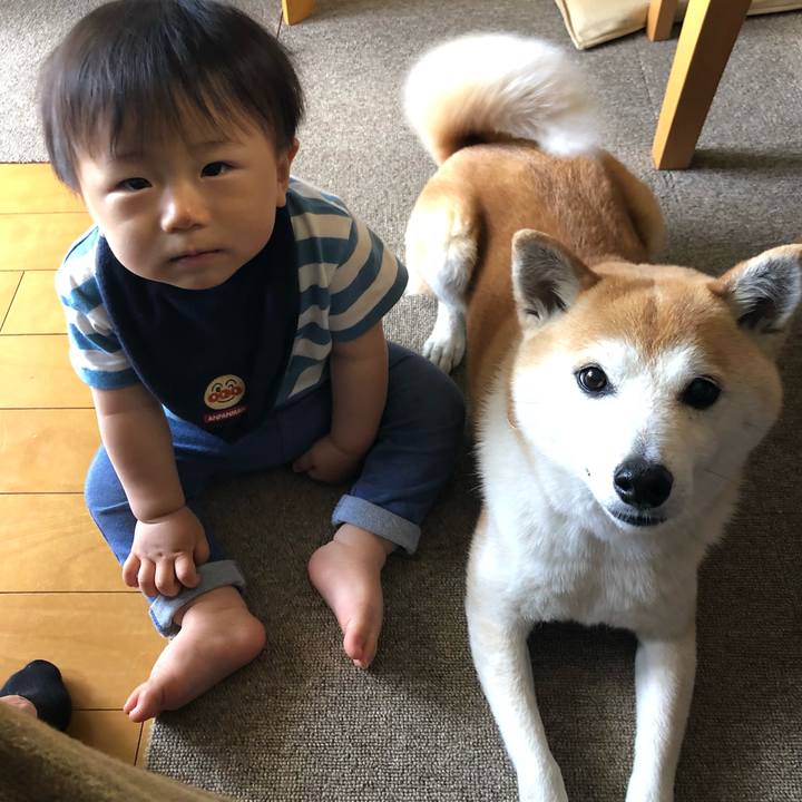 Ba4077d6 9cb1 4263 8f14 736f7bd8a712 1652164869322