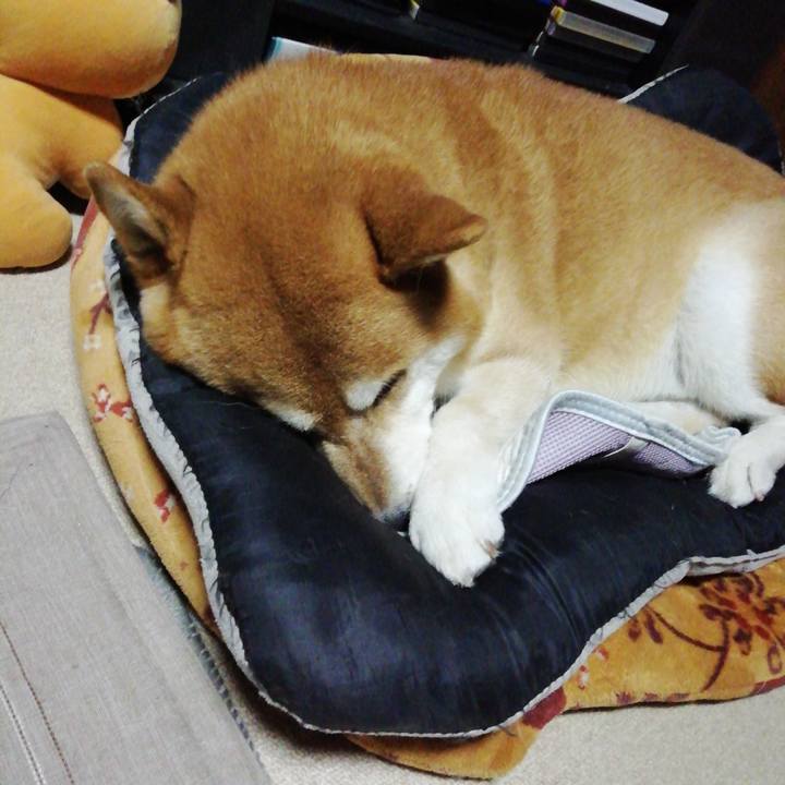 Ba408336 e926 4bdc 8d78 b170e59ca52c 1597324395184