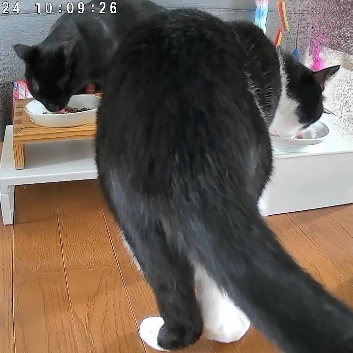 Ba4083f8 d2a6 48da 9657 fdb6f6f5eebf 1748053063691