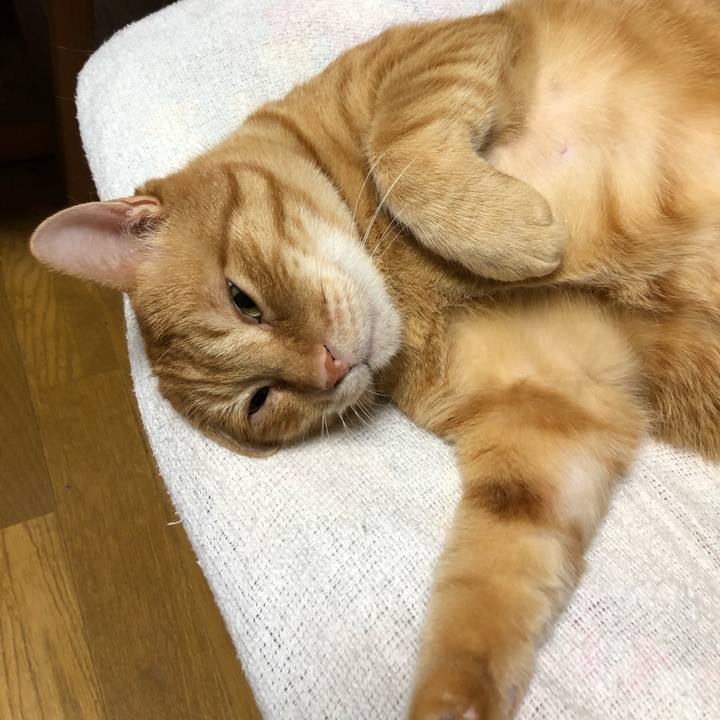 Ba409f00 3b94 466c 9bff 038200fbd2a3 1619698760929