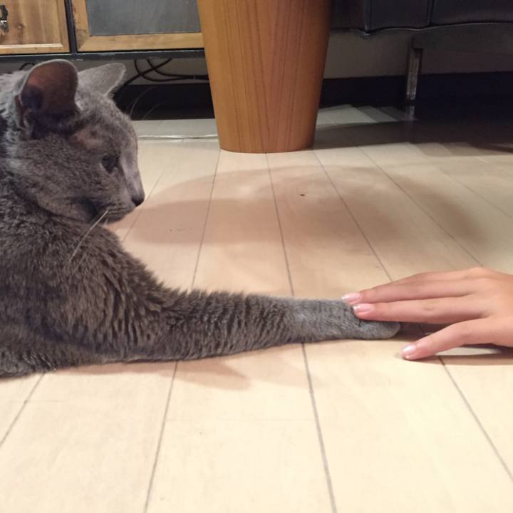 Ba40f36a ebe2 4807 9730 c193e83f53a4 1564701670523