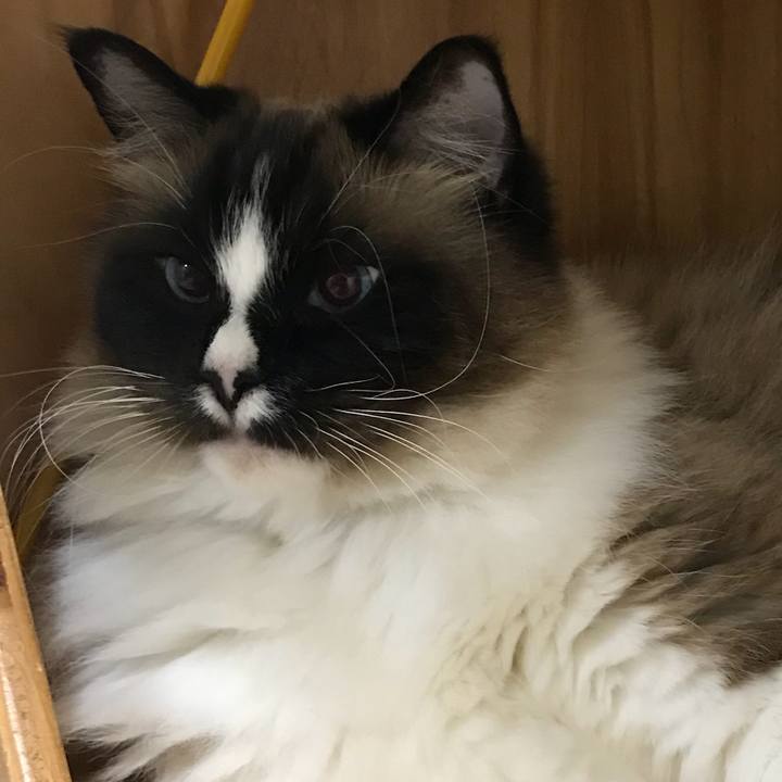 Ba412b9e f6ea 4494 89ad 7c306e960493 1523282554224