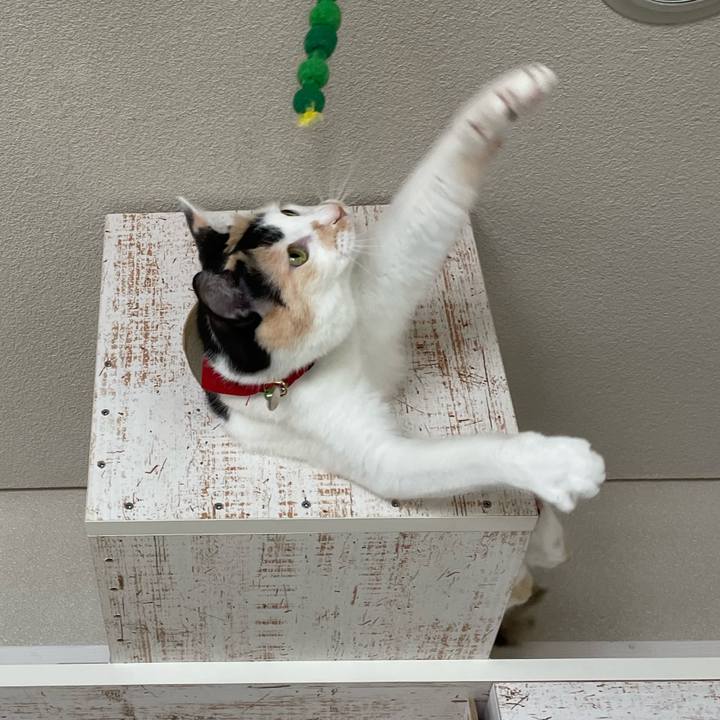 Ba413d29 5595 49e6 a946 aec326a79b8a 1715473011555