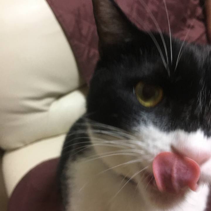 Ba41529c a09e 4482 ae9f faa75cf80bb2 1543157284270