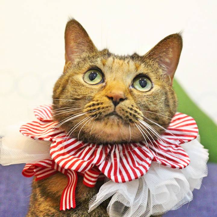 Ba41a26c 245a 4d4f ad8e c6bf710f29d6 1578790757406