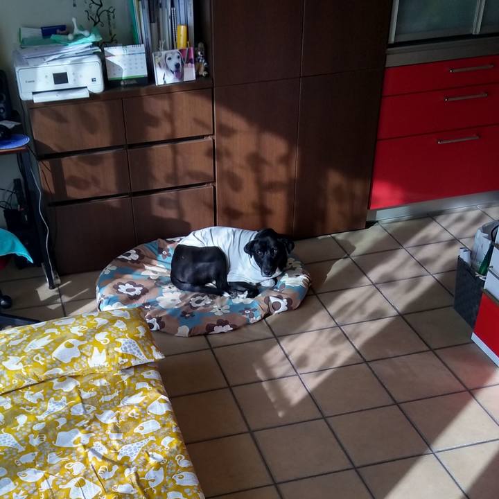 Ba41a447 32c0 4b74 9c35 91d56b12d74f 1605657639450